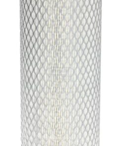 Secundary air filter