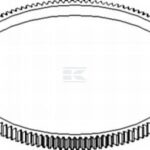 Anillo de engranaje