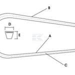 Juego de correas de transmisión
