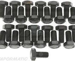 Tornillo M10x20-1.50mm (25 uds.)