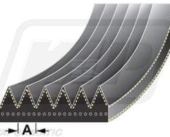 Cinturón