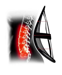 Soporte lumbrar para coche BS-01