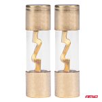 Fusible AGU 60A AMIO-03487