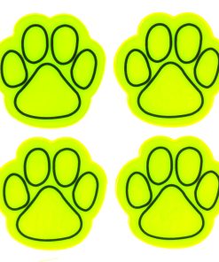 Set de adhesivos fluorescentes PIES AMIO-03940