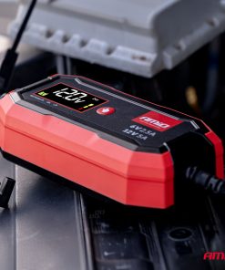 Cargador de batería digital AGM GEL STD LiFePo4 MAX 5A 6/12V PRO AMIO-04527