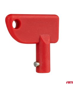Llave del interruptor principal 10 unidades AMIO-04805