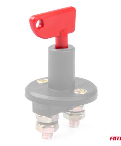 Llave del interruptor principal 10 unidades AMIO-04805