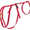 Prolapse Harness