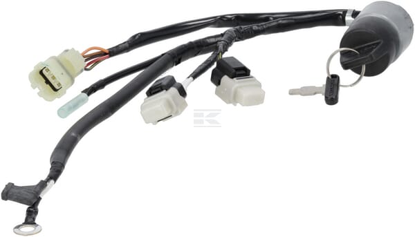 Conjunto combinado de interruptores