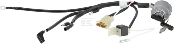 Conjunto de interruptor combinado
