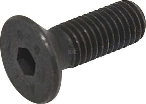 Allen screw m10-30 mk