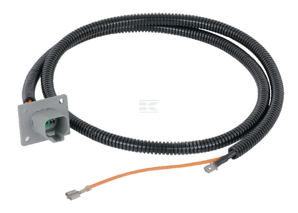 Mazo de cables