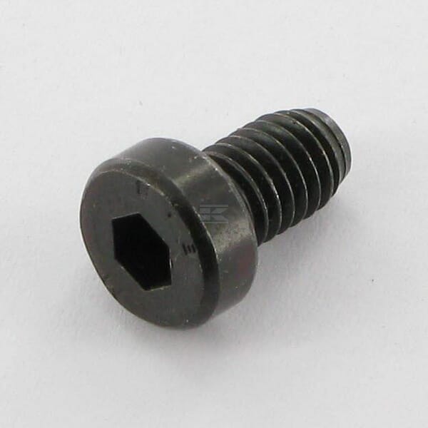 Tornillo CHC M6x10