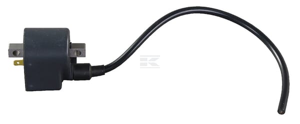 Bobina de encendido, Etesia