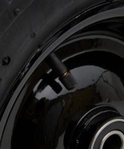 Rueda 7 Rueda