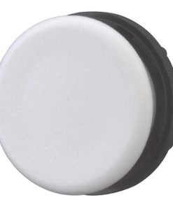 Tapón ciego RAL7035 IP67