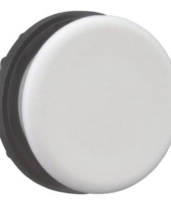 Tapón ciego RAL7035 IP67