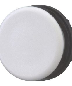 Tapón ciego RAL7035 IP67