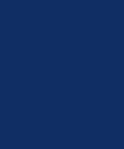 Pintura para FIONA, azul, 1L