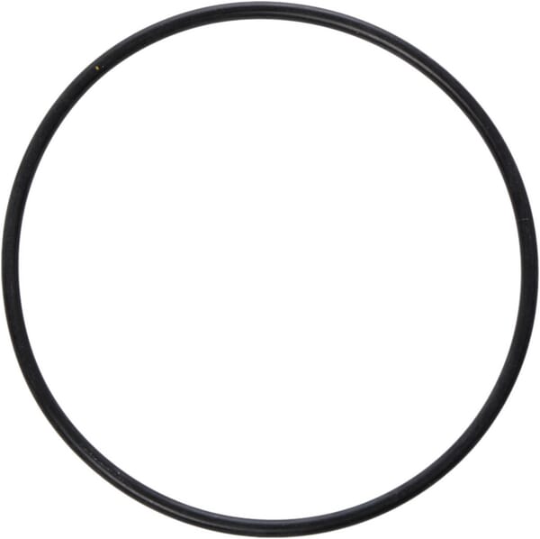 Seal 2 Seal - Imagen 2