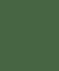 Pintura, verde hoja RAL 6002, 1 L