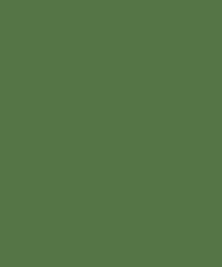 Pintura, verde hierba RAL 6010, 1 L