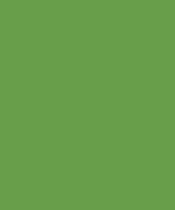 Pintura, verde amarillento RAL 6018, 5 L 21 Pintura, verde amarillento RAL 6018, 5 L