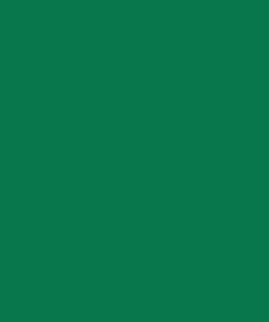 Pintura, verde menta RAL 6029, 5 L 19 Pintura, verde menta RAL 6029, 5 L