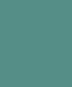 Pintura RAL 6033, menta turquesa, 1L, Kramp