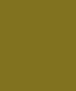 Pintura para FRISTEIN, verde, 1L