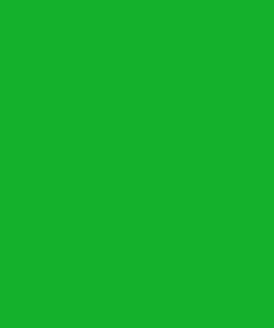 Pintura para HOLARAS, verde, 1L