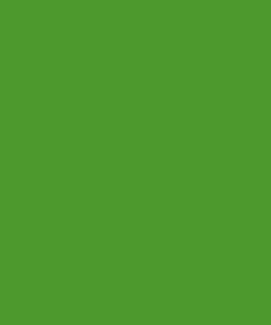 Pintura para HOLDER, verde 1985, 1L 15 Pintura para HOLDER, verde 1985, 1L
