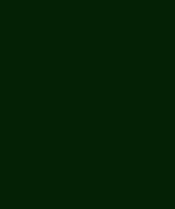 Pintura para NETAGCO, desde 1999, verde oscuro, 1L