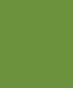 Pintura para STOLL, desde 1978, verde, 1L 19 Pintura para STOLL, desde 1978, verde, 1L