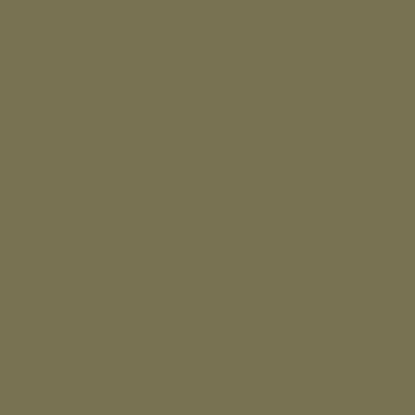Pintura para STRAUTMANN, verde oliva, 1L 8 Pintura para STRAUTMANN, verde oliva, 1L - Imagen 8