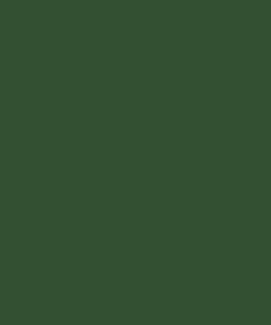Pintura para FRASER, verde, 1L