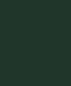 Pintura para N/T Hayter, verde, 5L 19 Pintura para N/T Hayter, verde, 5L