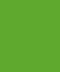 Fendt color verde naturaleza 400 ml 19 Fendt color verde naturaleza 400 ml