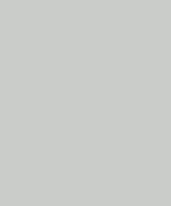 Pintura, gris claro RAL 7035, 1 L