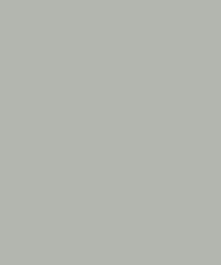 Pintura, gris ágata RAL 7038, 1 L