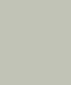 Pintura para STEYR hasta 1979, color gris claro, 1 L - Imagen 10