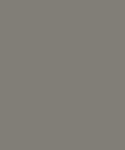 Pintura para WACKER NEUSON, gris tráfico, 1L - Imagen 10
