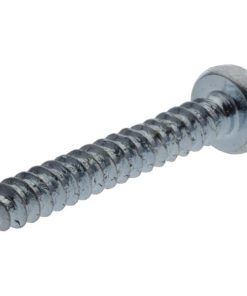 Tornillo autorroscante Torx 3.9x22 mm