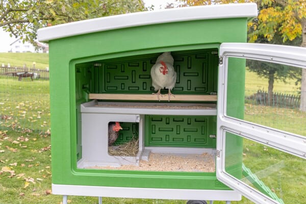 Gallinero móvil plástico 119x96x162 cm 11 Gallinero móvil plástico 119x96x162 cm - Imagen 11