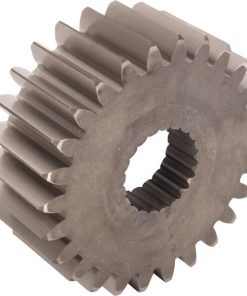 Piñón