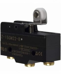 Microinterruptor