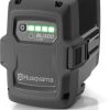 Batería BLi200