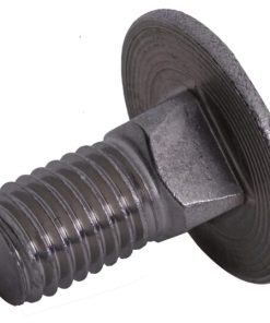 Tornillo redondo plano 603 12X 25 A2-70
