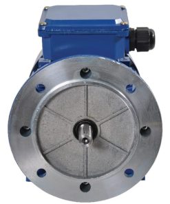 Motor eléctrico 0,37 kW