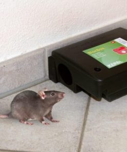 Caja de cebo 22,5x18,5x9,5 cm